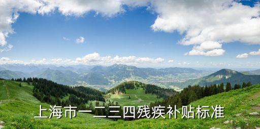 上海市一二三四殘疾補貼標準