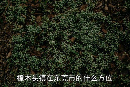 樟木頭鎮在東莞市的什么方位