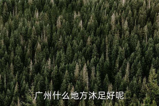 廣州什么地方沐足好呢