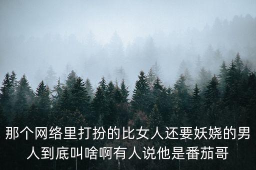深圳西紅柿哥，網紅西紅杮在廣西河池被抓了嗎