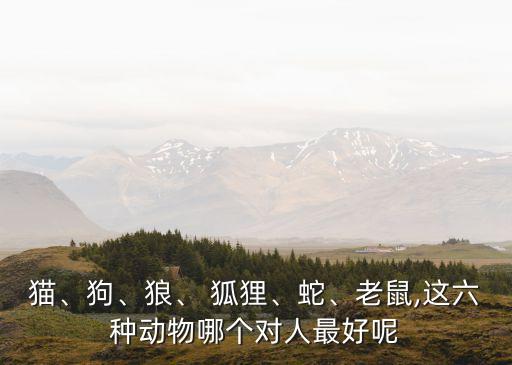 貓、狗、狼、 狐貍、蛇、老鼠,這六種動(dòng)物哪個(gè)對(duì)人最好呢