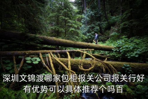 深圳文錦渡哪家包柜報關公司報關行好有優勢可以具體推薦個嗎百