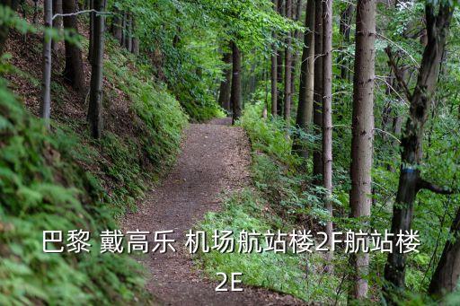戴高樂(lè)機(jī)場(chǎng),法國(guó)巴黎戴高樂(lè)機(jī)場(chǎng)免稅店