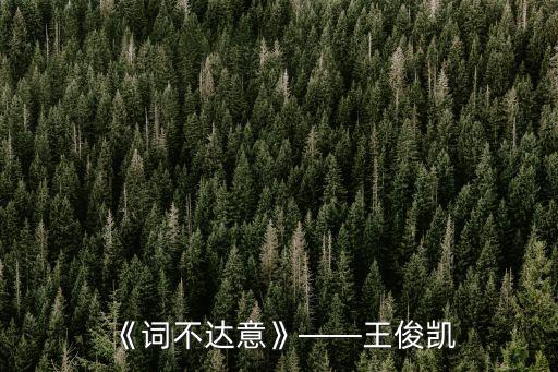 《詞不達意》——王俊凱