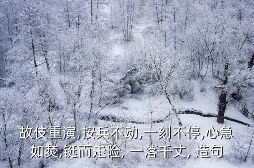 故伎重演,按兵不動,一刻不停,心急如焚,鋌而走險, 一落千丈, 造句