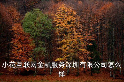 小花互聯網金融服務深圳有限公司怎么樣