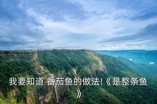 我要知道 番茄魚的做法!《是整條魚》
