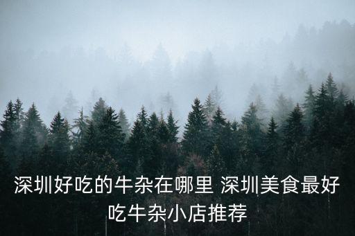 深圳好店推薦雜貨，深圳市寶安區(qū)購物有哪些地方最好是有好多精品屋雜貨之類的
