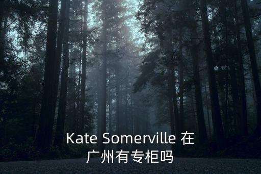 Kate Somerville 在廣州有專柜嗎