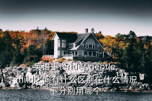 英語里tender,gentle, mild之間有什么區別在什么情況下分別用哪個
