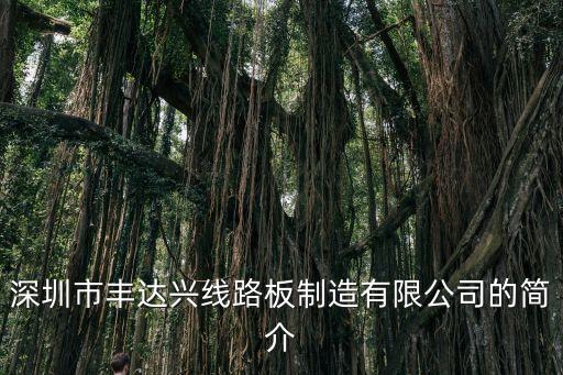 深圳市豐達興線路板制造有限公司的簡介