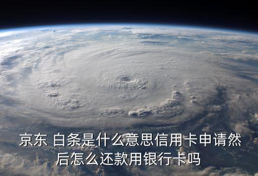 京東白條什么意思,京東支付方式京東白條什么意思