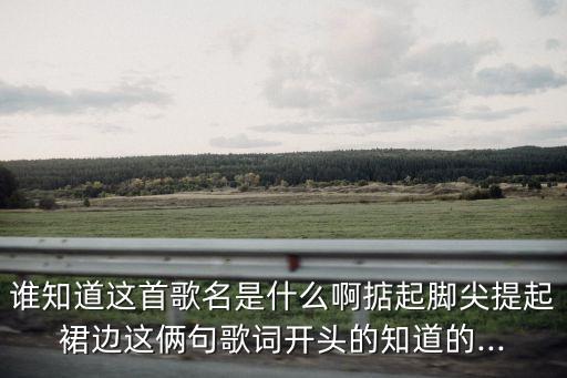 誰知道這首歌名是什么啊掂起腳尖提起裙邊這倆句歌詞開頭的知道的...
