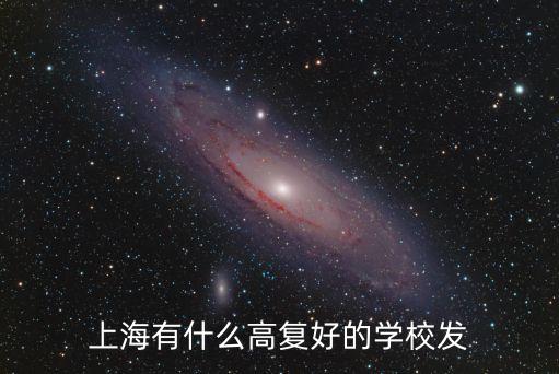 上海市高考復(fù)讀學(xué)校，上海高復(fù)的學(xué)校有哪些