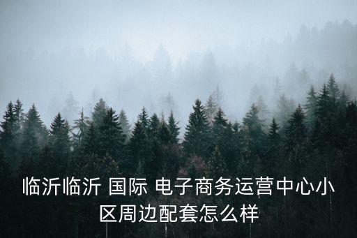 國(guó)際電子商務(wù),國(guó)際組織電子商務(wù)立法最早在1980年