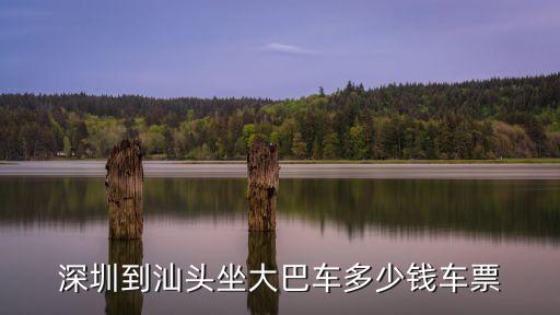 深圳到深汕合作區客車，有深圳到汕頭大巴