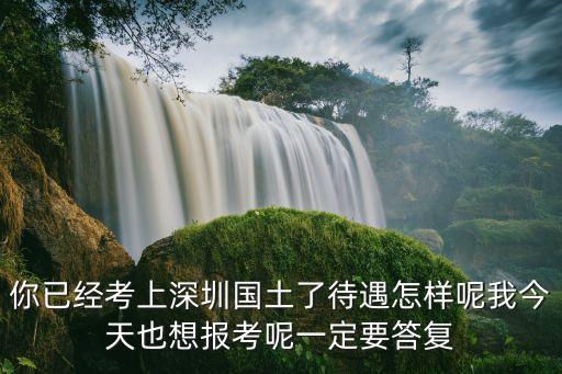 深圳土畜產茶葉待遇，深圳八馬茶業待遇怎么樣