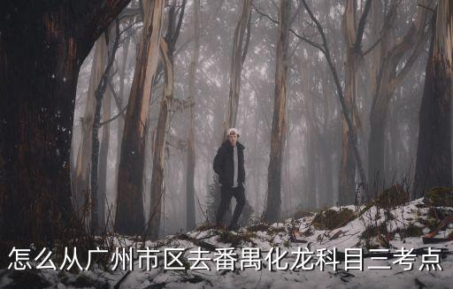 怎么從廣州市區去番禺化龍科目三考點