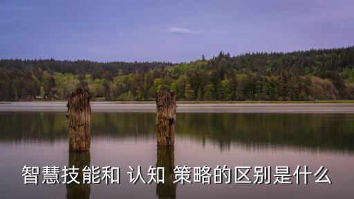 認(rèn)知策略