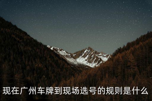 現在廣州車牌到現場選號的規則是什么