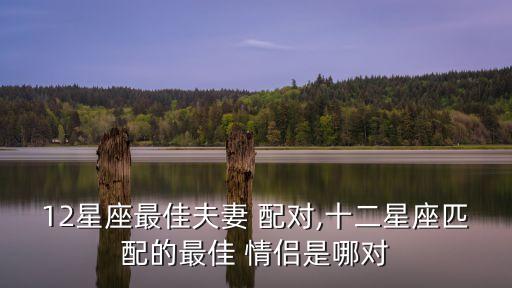12星座最佳夫妻 配對,十二星座匹配的最佳 情侶是哪對