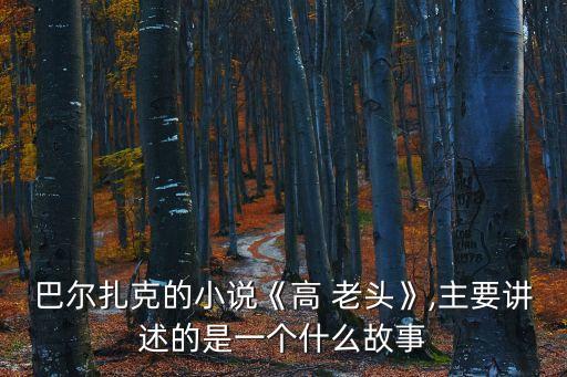 高老頭,法國面粉商高老頭中年喪妻將愛情奉獻給女兒