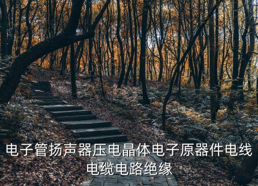 電子管揚聲器壓電晶體電子原器件電線電纜電路絕緣