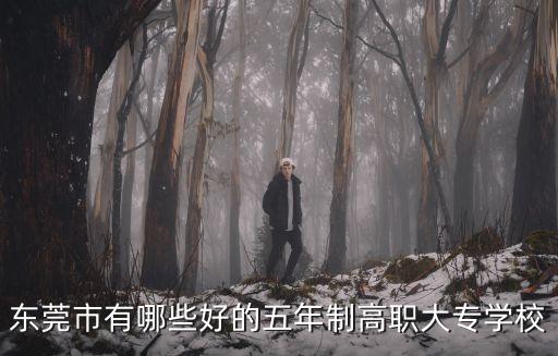 東莞市有哪些好的五年制高職大專學校