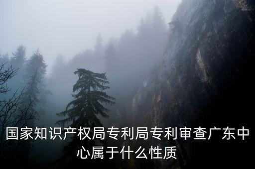 國家知識產權局專利局專利審查廣東中心屬于什么性質