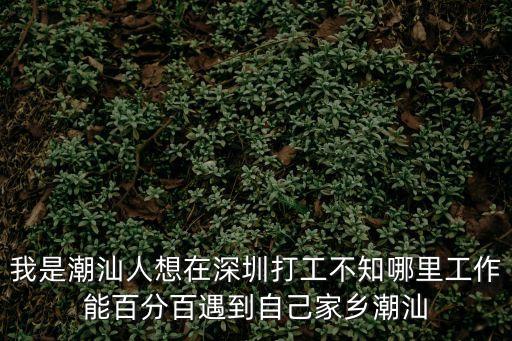 我是潮汕人想在深圳打工不知哪里工作能百分百遇到自己家鄉(xiāng)潮汕
