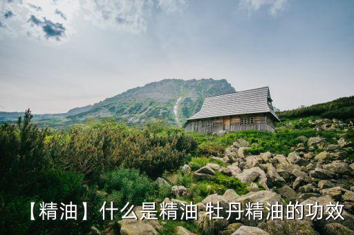 牡丹油價格,從牡丹花莖葉莖莖萃取精油