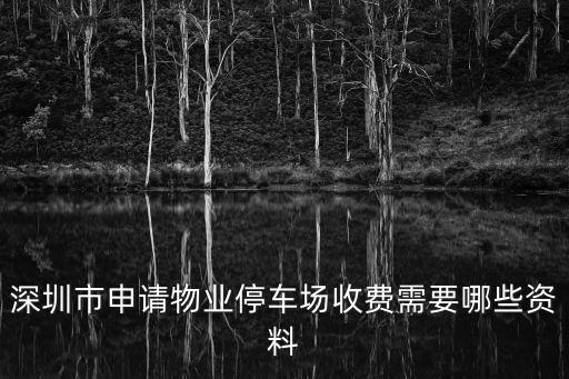 深圳設立停車場規定，如何辦理深圳市經營性停車場許可證