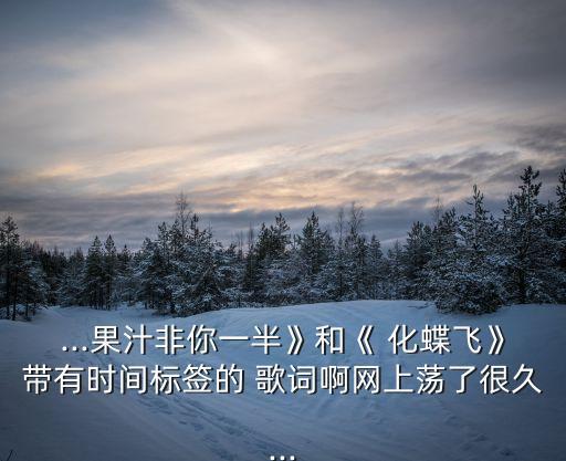 ...果汁非你一半》和《 化蝶飛》帶有時間標簽的 歌詞啊網上蕩了很久...