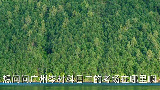 想問問廣州岑村科目二的考場在哪里啊