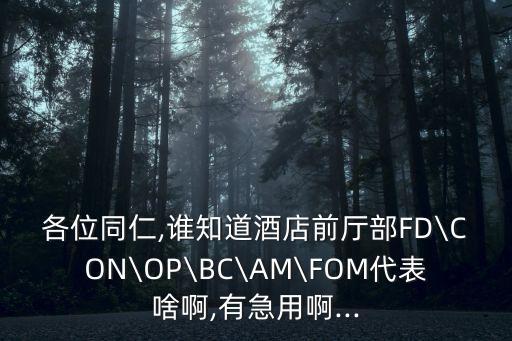 各位同仁,誰知道酒店前廳部FD\CON\OP\BC\AM\FOM代表啥啊,有急用啊...