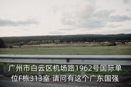 廣州市白云區機場路1962號國際單位F棟313室 請問有這個廣東國強