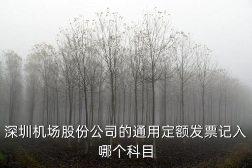 深圳機(jī)場股份公司的通用定額發(fā)票記入哪個(gè)科目