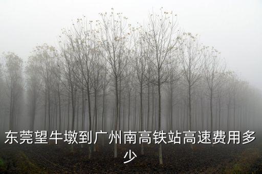 東莞望牛墩到廣州南高鐵站高速費用多少