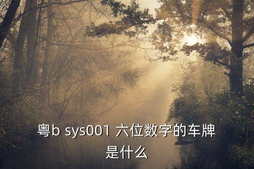 深圳001 001的牌照，粵b sys001 六位數(shù)字的車牌是什么