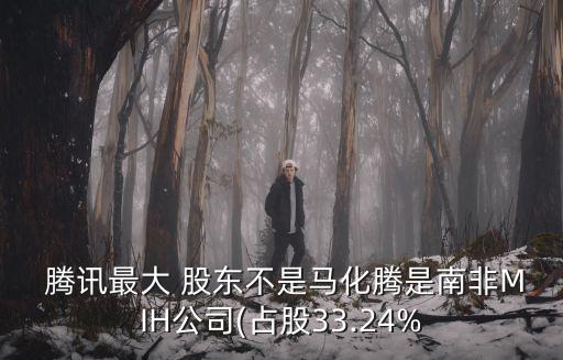  騰訊最大 股東不是馬化騰是南非MIH公司(占股33.24%