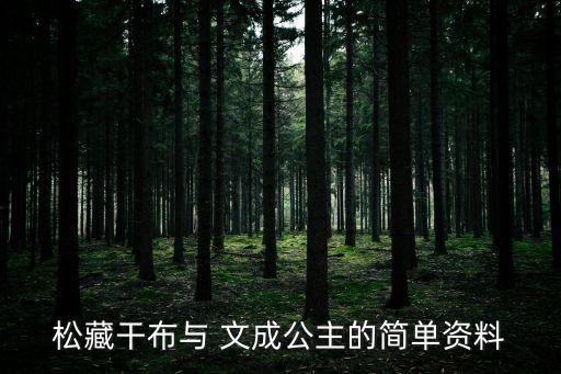 文成公主像,松潘為什么有文成公主像