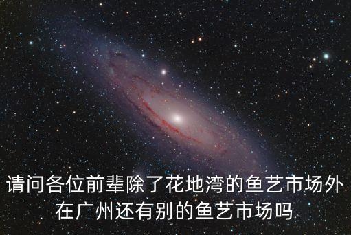 請問各位前輩除了花地灣的魚藝市場外在廣州還有別的魚藝市場嗎