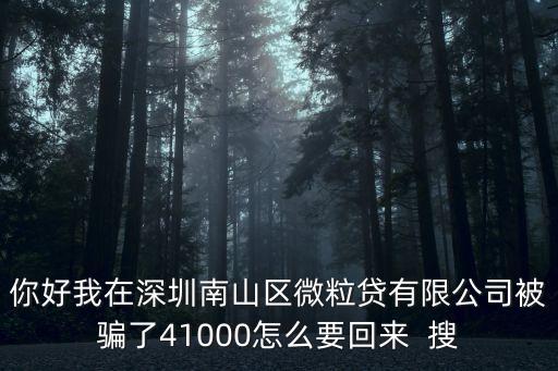 你好我在深圳南山區微粒貸有限公司被騙了41000怎么要回來  搜
