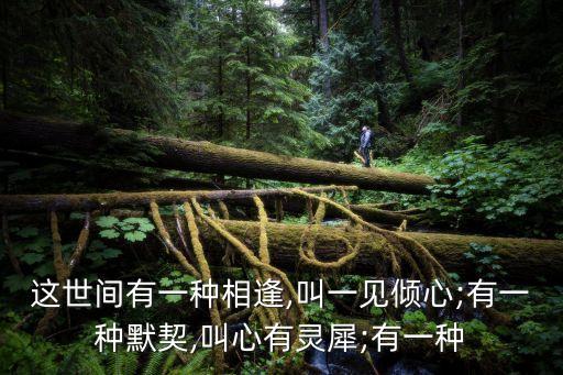 有一種感情叫,男子如何走出人生軌跡