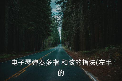  電子琴彈奏多指 和弦的指法(左手的