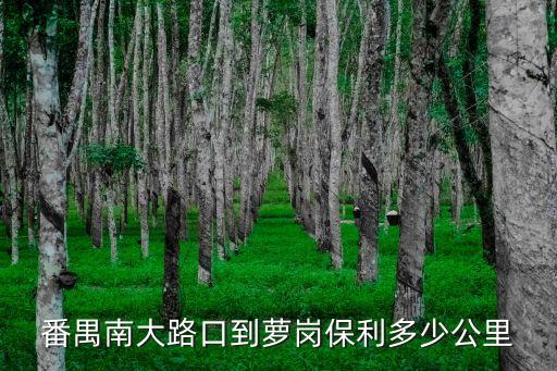 番禺南大路口到蘿崗保利多少公里