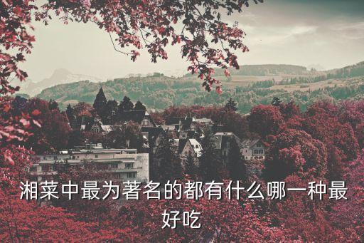湘菜家常菜