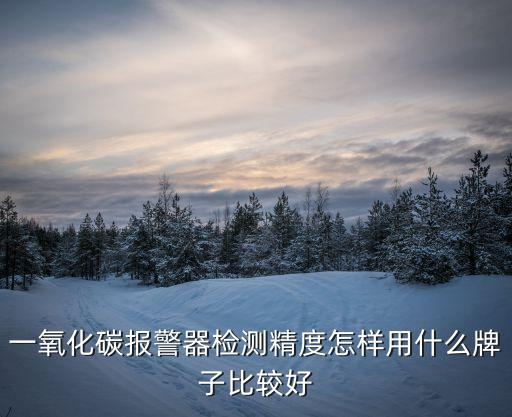 一氧化碳報警器檢測精度怎樣用什么牌子比較好