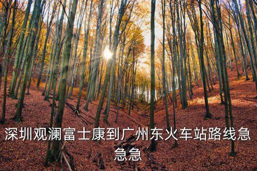 深圳觀瀾富士康到廣州東火車站路線急急急