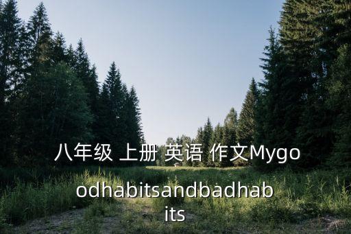  八年級 上冊 英語 作文Mygoodhabitsandbadhabits